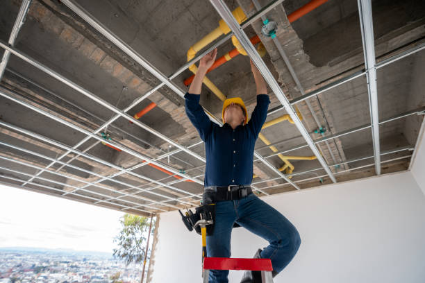 Best Emergency Plumber  in Clarence, IA
