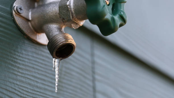 Best Water Leak Repair  in Clarence, IA